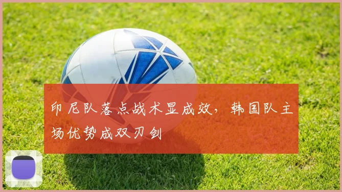 印尼队落点战术显成效，韩国队主场优势成双刃剑 - 搜狐体育