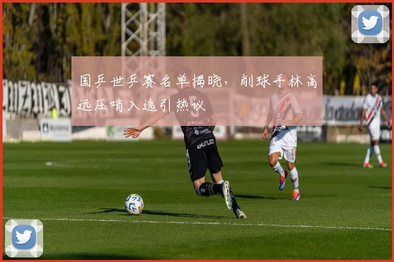 国乒世乒赛名单揭晓，削球手林高远压哨入选引热议 - 搜狐体育