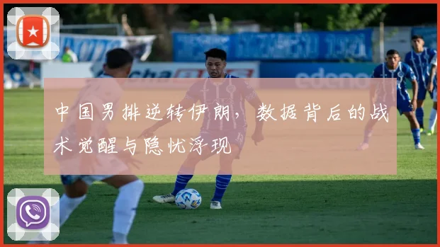 中国男排逆转伊朗,数据背后的战术觉醒与隐忧浮现