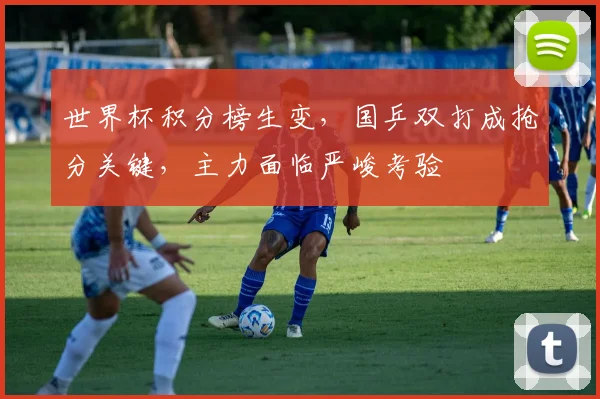 世界杯积分榜生变，国乒双打成抢分关键，主力面临严峻考验